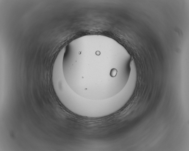 X0000112881300200910021345