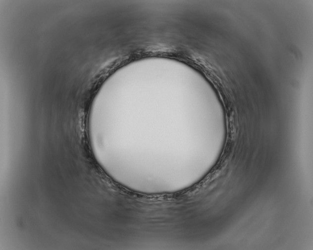 X0000112881301200910021345