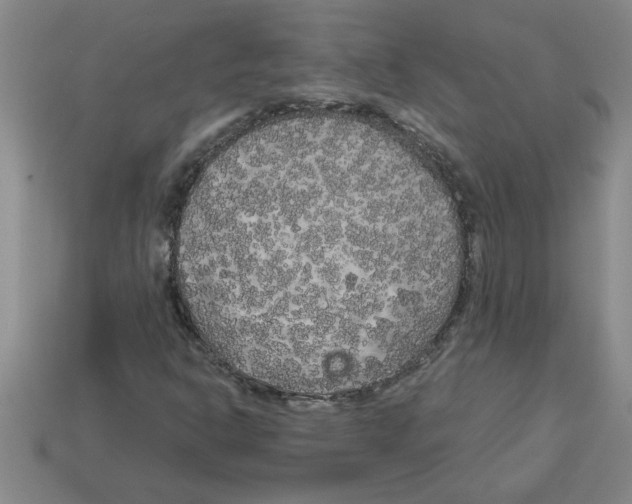 X0000112881302200910021345