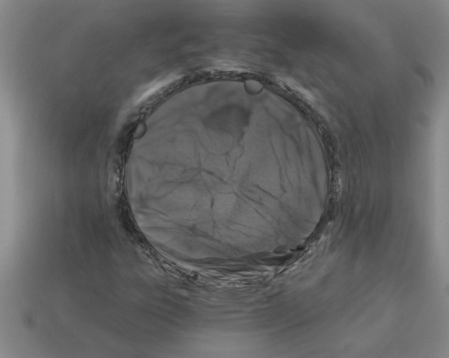 X0000112881303200910021345