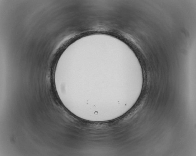 X0000112881307200910021345