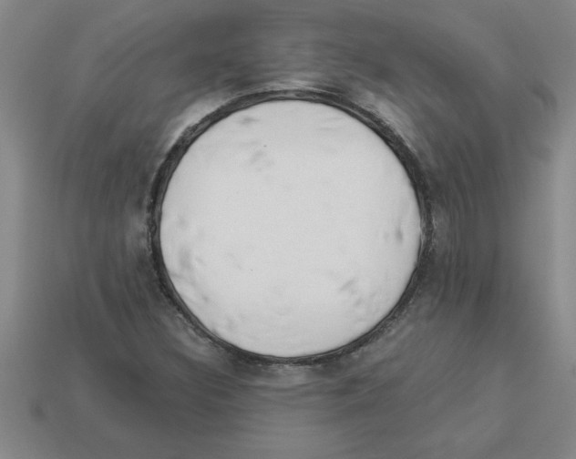 X0000112881308200910021345