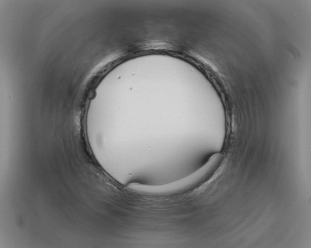 X0000112881309200910021345