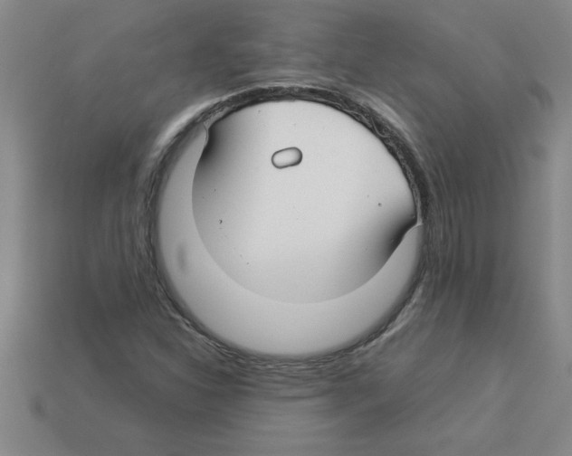 X0000112881310200910021345