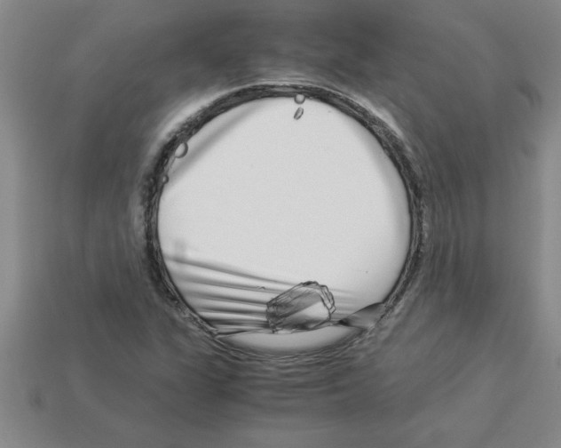 X0000112881311200910021345