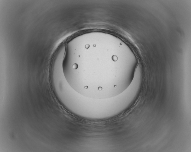 X0000112881312200910021345