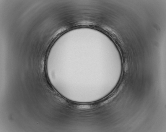 X0000112881313200910021345