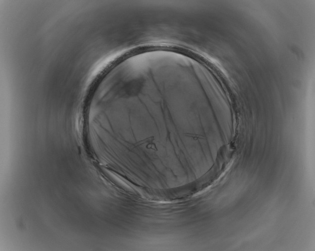 X0000112881319200910021345