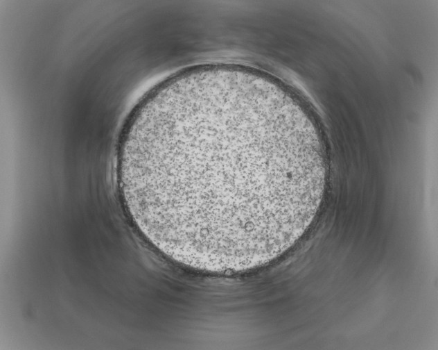 X0000112881320200910021345