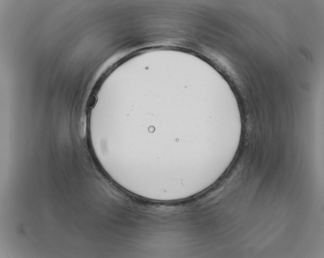 X0000112881324200910021345