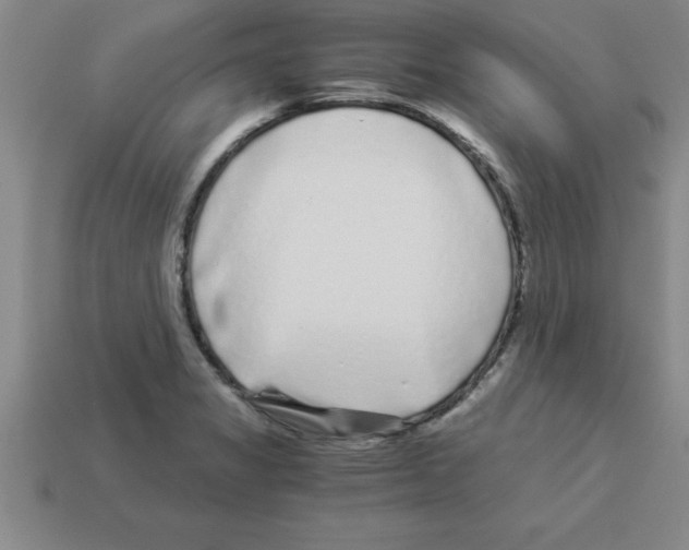 X0000112881325200910021345