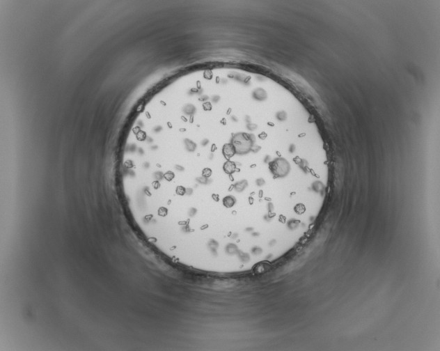 X0000112881326200910021345