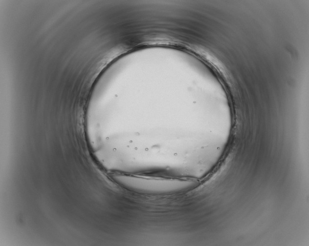 X0000112881329200910021345