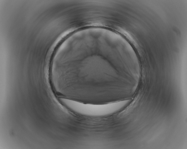 X0000112881331200910021345