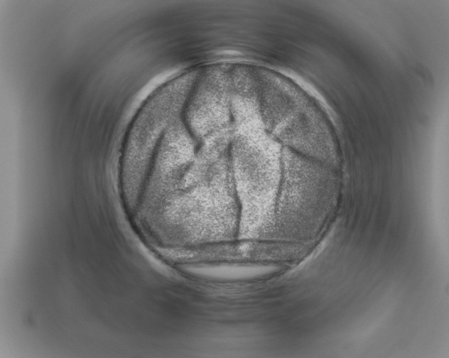 X0000112881333200910021345