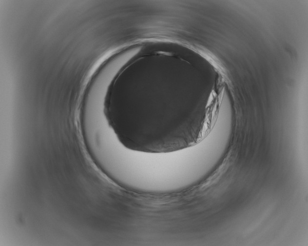 X0000112881334200910021345