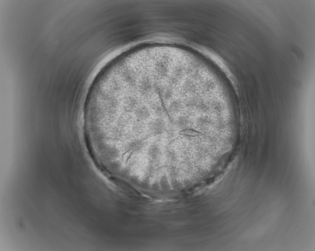 X0000112881335200910021345