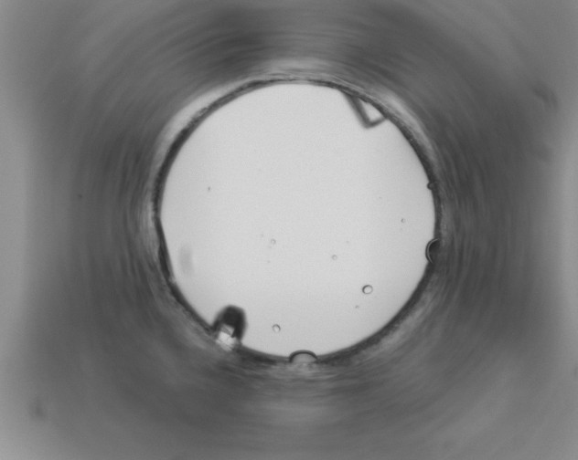 X0000112881336200910021345