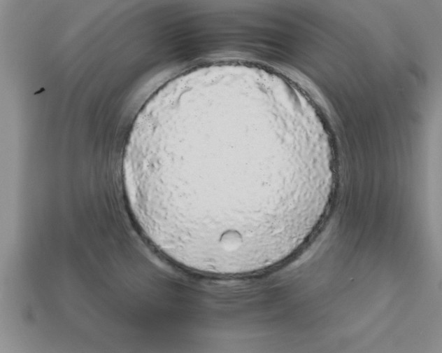 X0000112881337200910021345