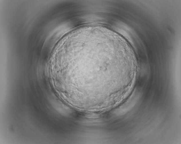 X0000112881338200910021345