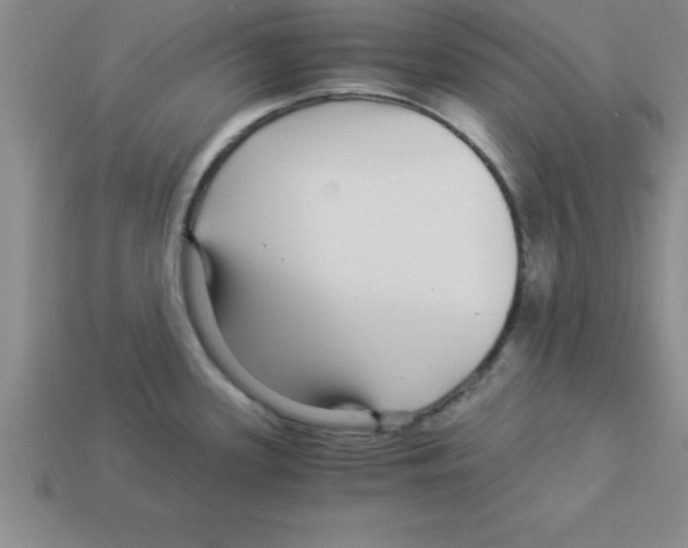 X0000112881339200910021346