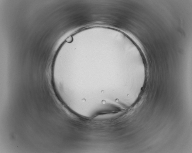 X0000112881341200910021346