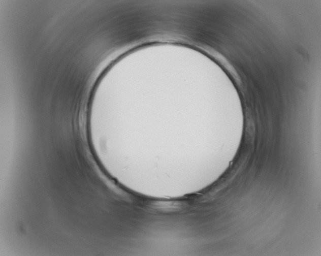 X0000112881343200910021346