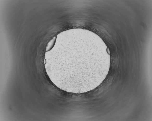 X0000112881345200910021345