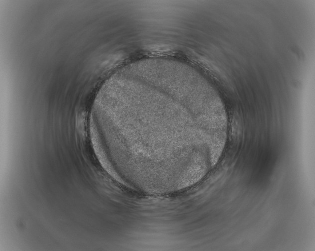 X0000112881346200910021345