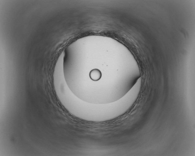 X0000112881349200910021345