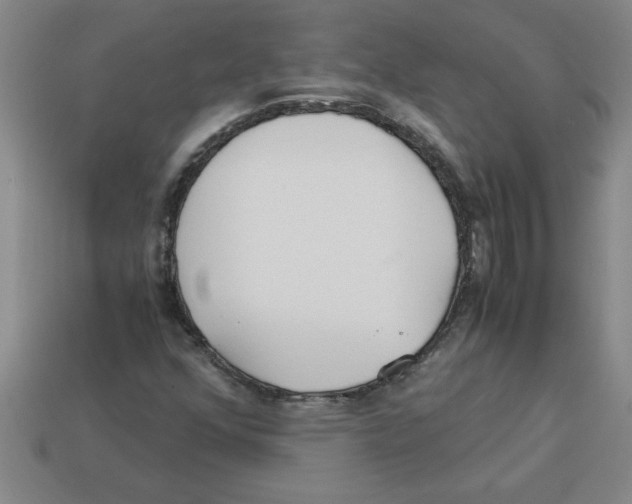 X0000112881352200910021345