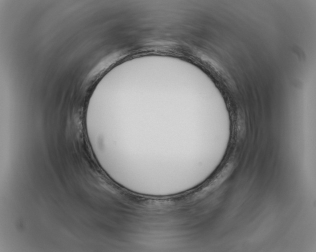 X0000112881354200910021345