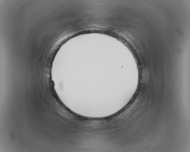 X0000112881355200910021345