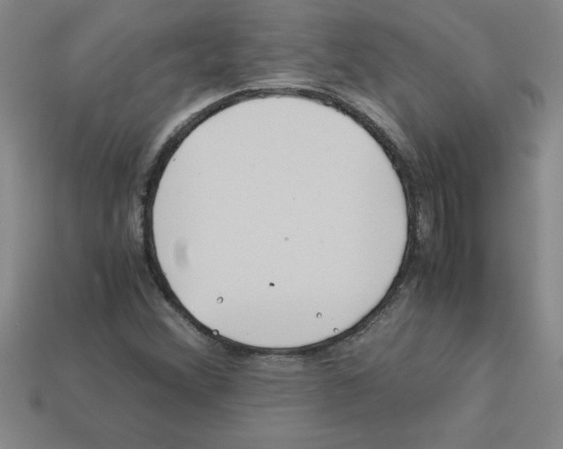 X0000112881356200910021345