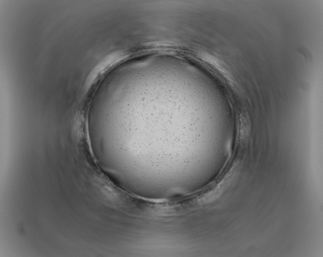 X0000112881357200910021345