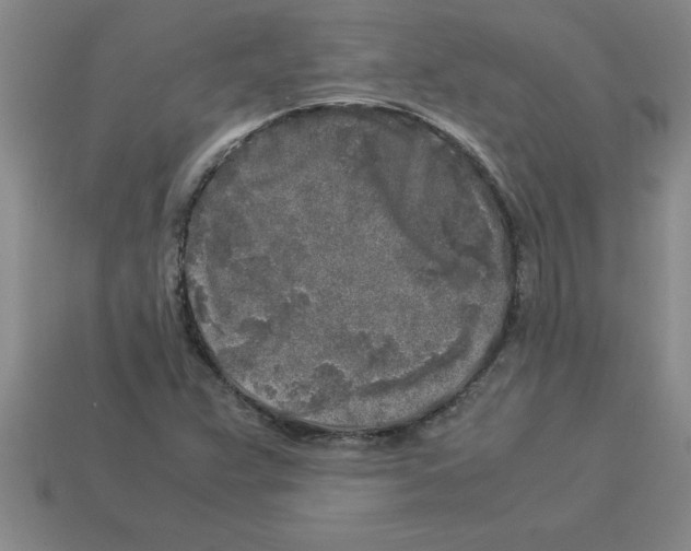 X0000112881359200910021345