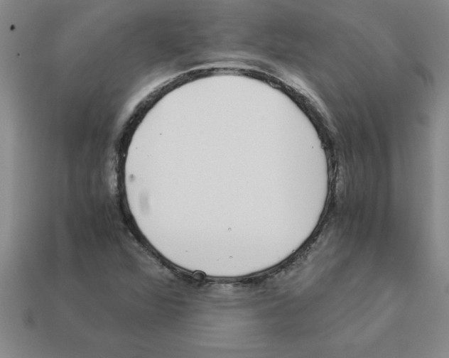 X0000112881360200910021345