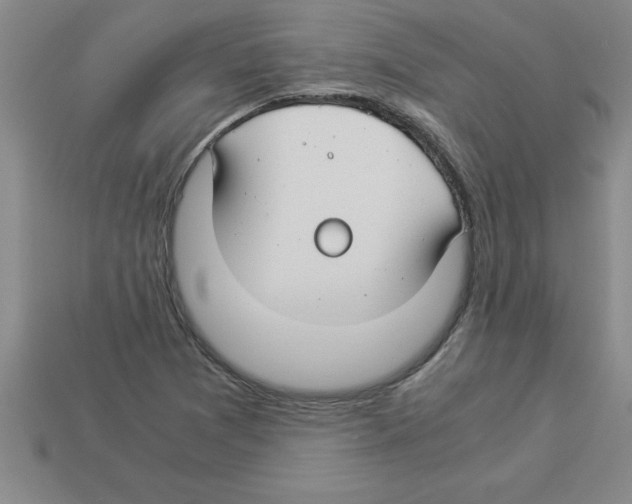 X0000112881361200910021345