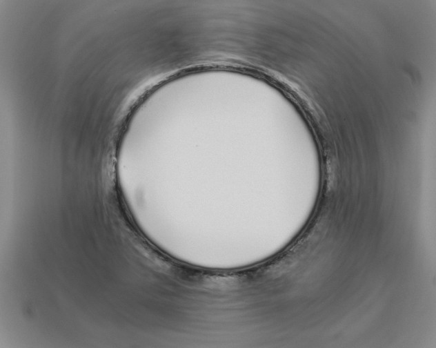 X0000112881363200910021345