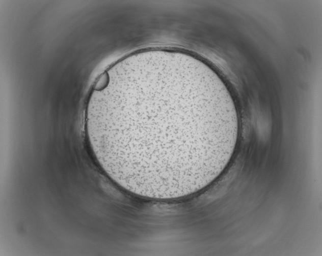 X0000112881366200910021345