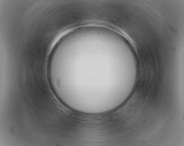 X0000112881368200910021345