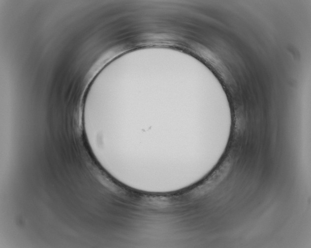 X0000112881370200910021345