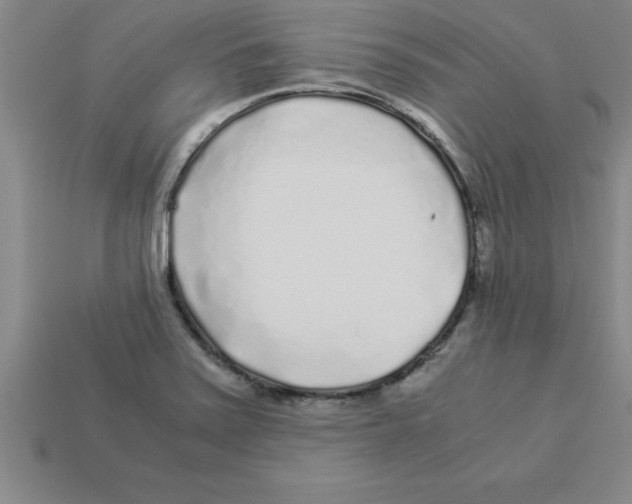 X0000112881371200910021345