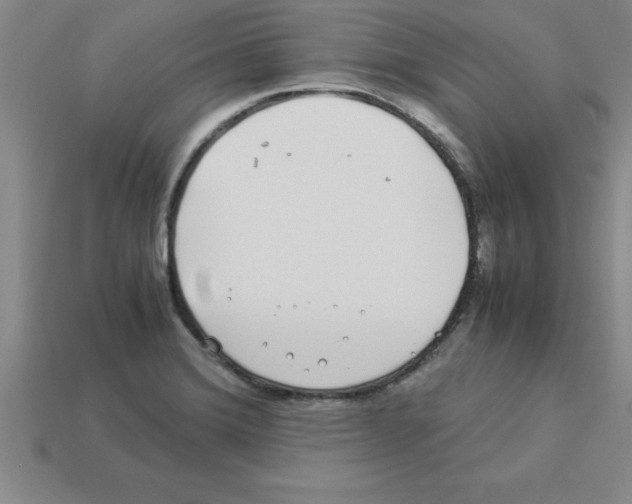 X0000112881372200910021345