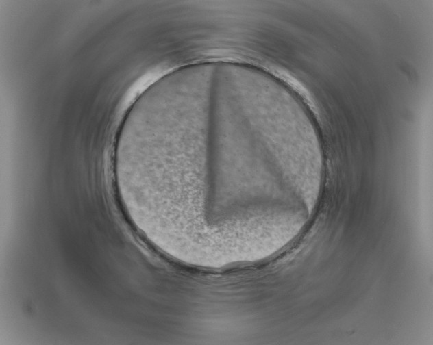 X0000112881373200910021345