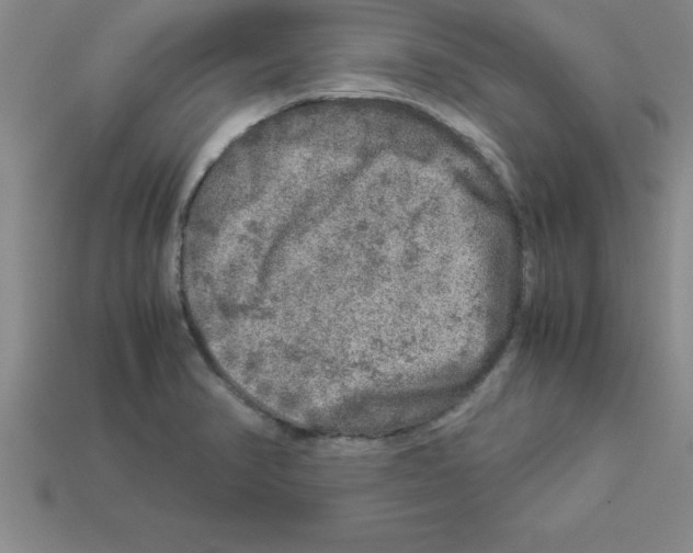 X0000112881374200910021345