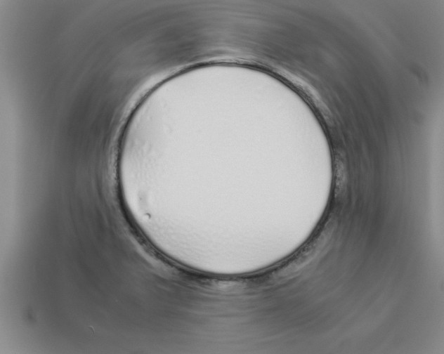 X0000112881375200910021345