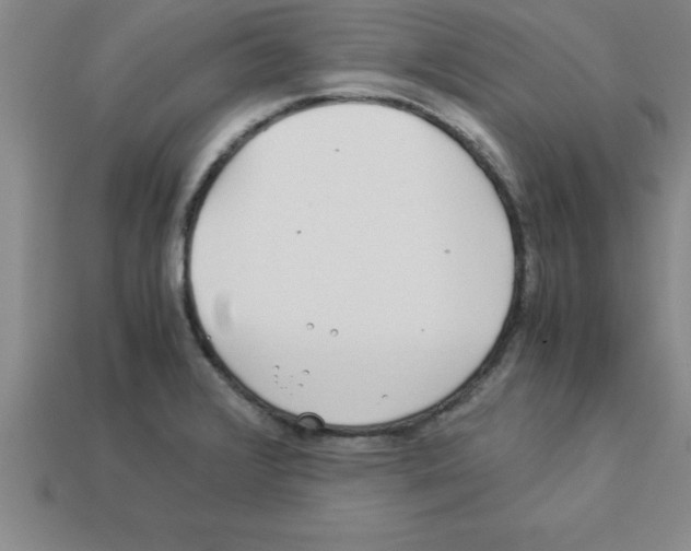 X0000112881376200910021345