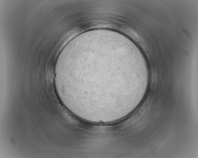 X0000112881377200910021345