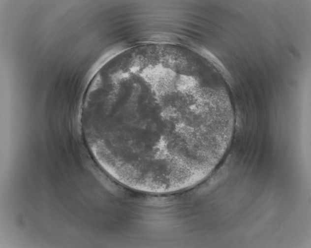 X0000112881378200910021345